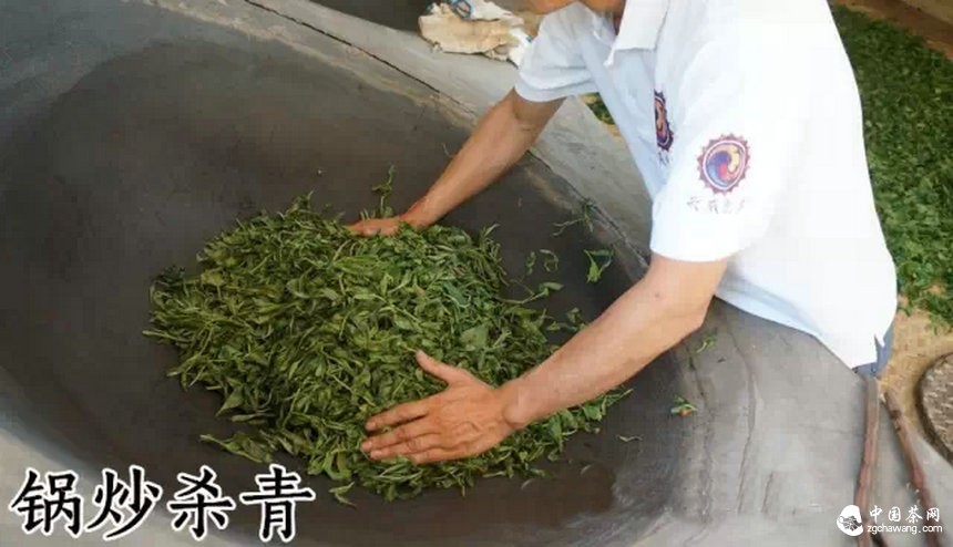 普洱茶不當(dāng)制程
