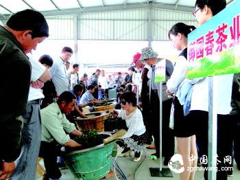 5月19日,在巨峰鎮薄家口鮮葉交易市場(chǎng),17家龍頭企業(yè)參加了炒茶大賽。