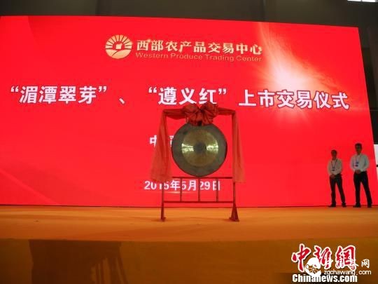 推茶旅一體化 中國(貴州&middot;遵義)國際茶文化節舉行