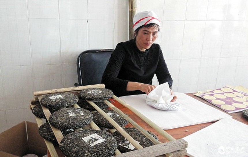 走進(jìn)馬關(guān)古林箐 探秘茶馬古道上的古茶林