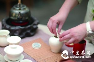 喝茶看似簡單，但要真正喝到茶之精髓，喝透茶中所蘊含的風(fēng)土意蘊，卻不是件容易事。為了讓更多人了解到不同種類的茶的奧妙所在，澎湃新聞攜手康寶萊（中國），在上海舉行了一場以&ldquo;茶之語&rdquo;為主題的茶藝沙龍，并邀請資深茶藝師、茶葉審評師&mdash;李瑋作為講師，現(xiàn)場講述與茶有關(guān)的方方面面。