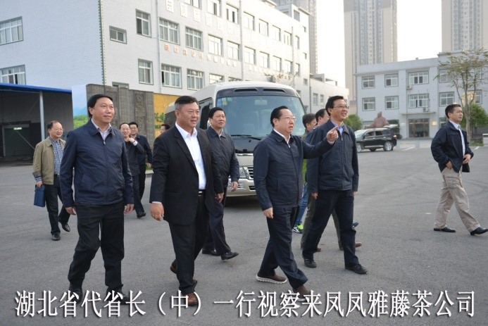 湖北代省長考察金祈藤茶&ldquo;精準扶貧&rdquo;示范工作
