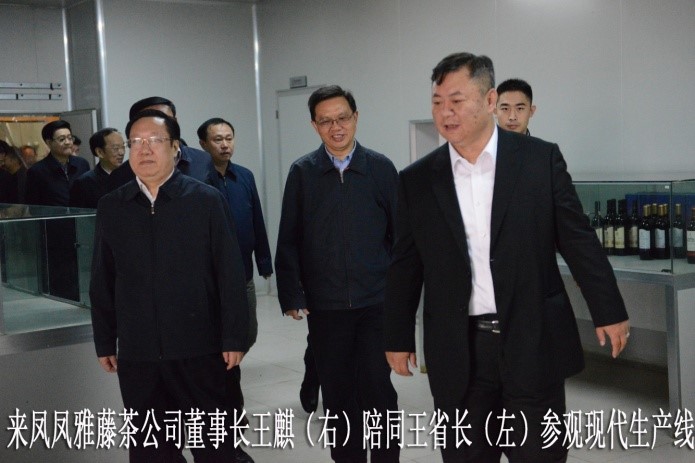 湖北代省長考察金祈藤茶&ldquo;精準扶貧&rdquo;示范工作3