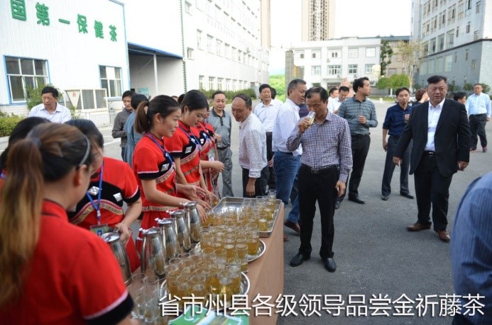 湖北代省長考察金祈藤茶&ldquo;精準扶貧&rdquo;示范工作2