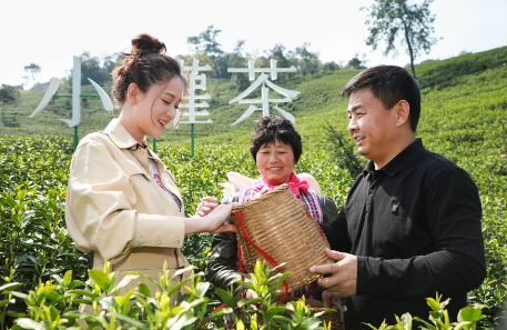 攜手陳喬恩、陳漫 小罐茶玩轉現代派春茶-焦點(diǎn)中國網(wǎng)