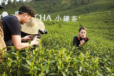 攜手陳喬恩、陳漫 小罐茶玩轉現代派春茶-焦點(diǎn)中國網(wǎng)