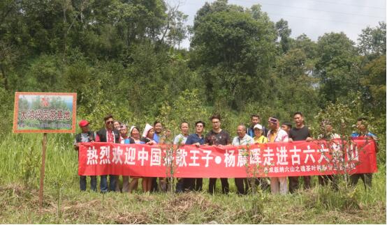 倪龍彪攜手中國(guó)茶歌王子--楊晨暉走進(jìn)古六大茶山