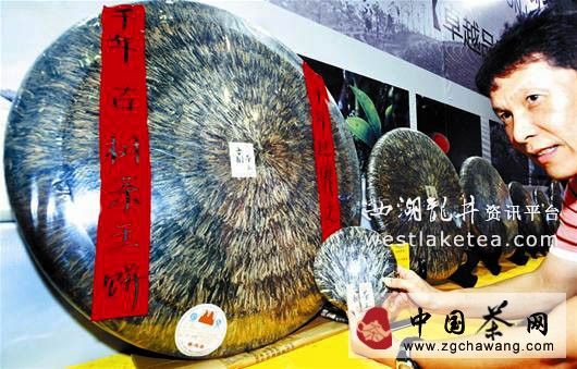 2013武漢國際茶業(yè)博覽會刮起一股&ldquo;黑旋風(fēng)&rdquo;