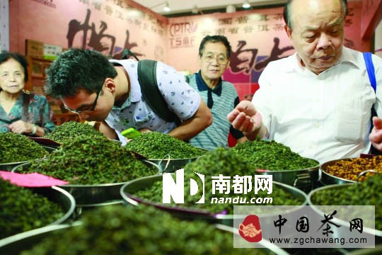 2013東莞秋季茶博會(huì)開幕 品牌茶商借力拓市場