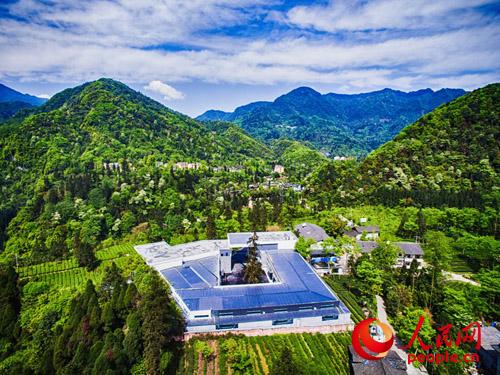 峨眉山有機生態(tài)茶園茶之旅體驗基地