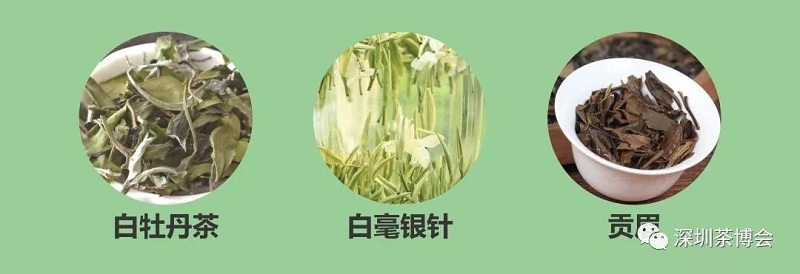 圖5