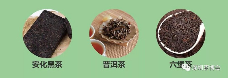 圖9