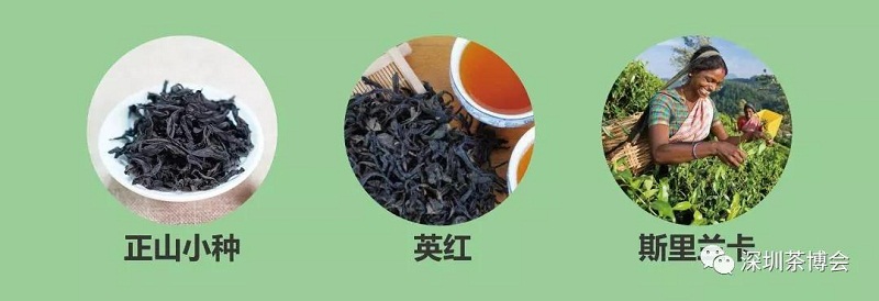 圖8