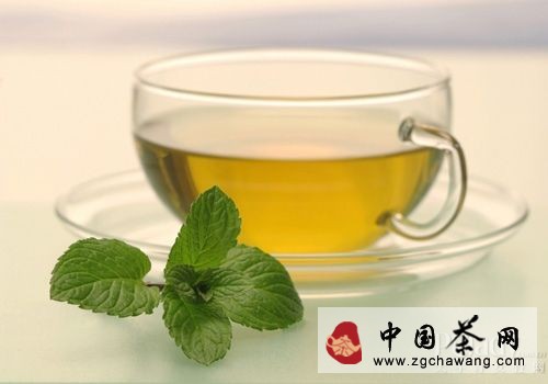 喝茶過程7個不 你知多少？