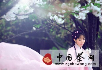 煙行媚視 少女艷茶 你品過(guò)嗎？