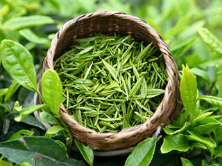養生排毒茶，適合各類(lèi)人群